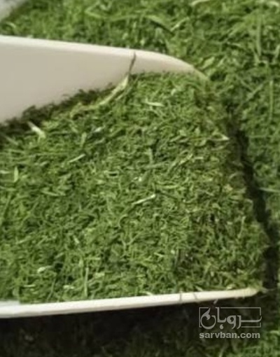 فروش شوید خشک نرمه