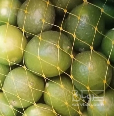 فروش لیمو ترش