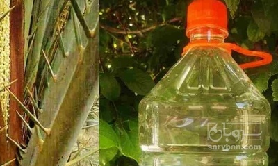 فروش عرق طارونه