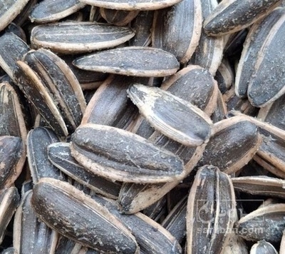 فروش تخمه آفتابگردان بود داده