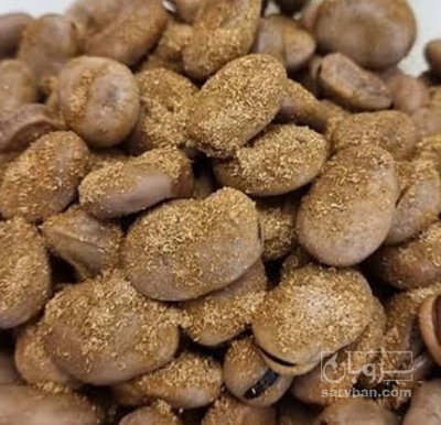 فروش باقلا تازه - باقالی - باقالا