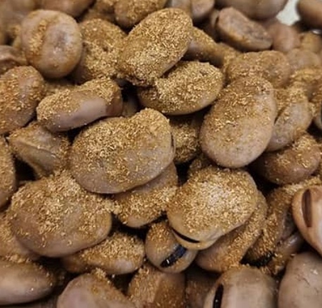 فروش باقلا تازه - باقالی - باقالا