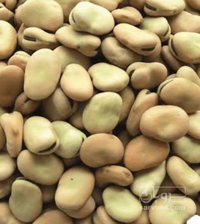 فروش باقلا شاخ بزی