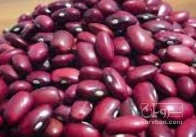 فروش لوبیا قرمز