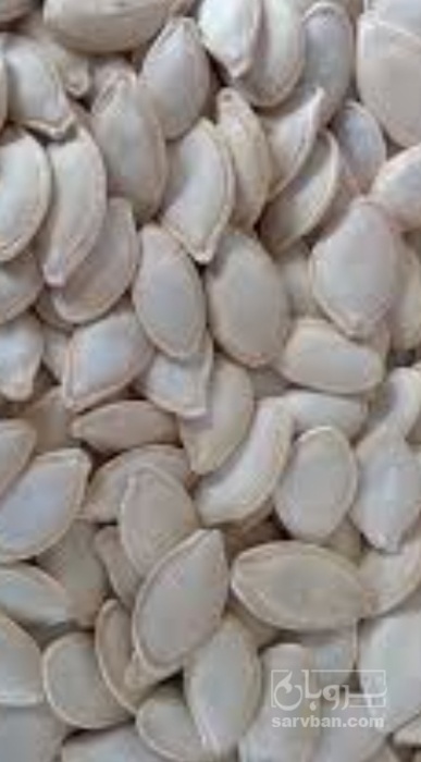 فروش تخمه  کدو بو داده