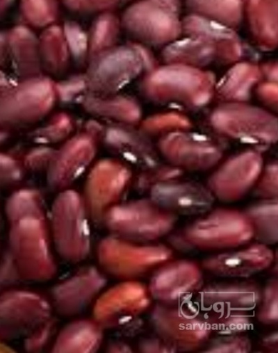 فروش لوبیا قرمز