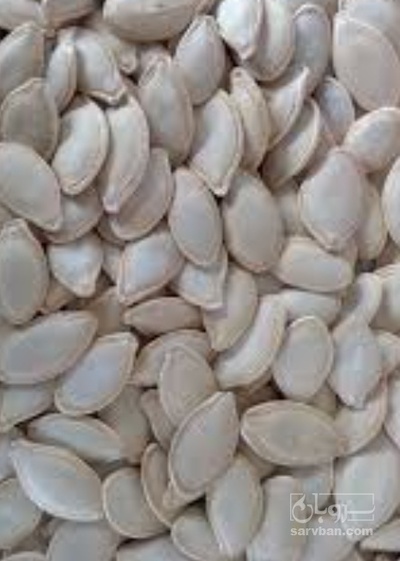 فروش تخمه  کدو بو داده