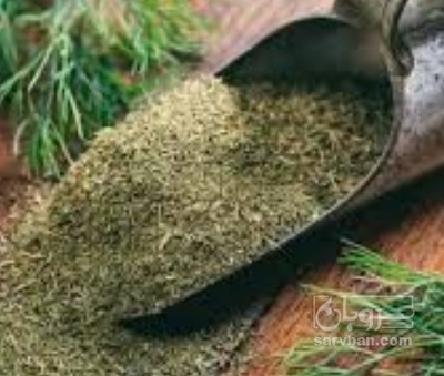 فروش شوید خشک (گیاه‌ دارویی)