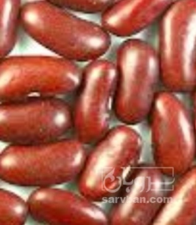 فروش لوبیا قرمز