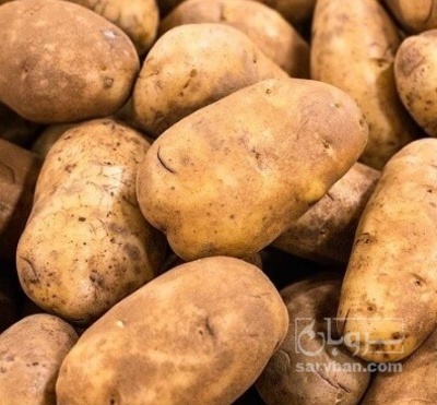 فروش سیب زمینی