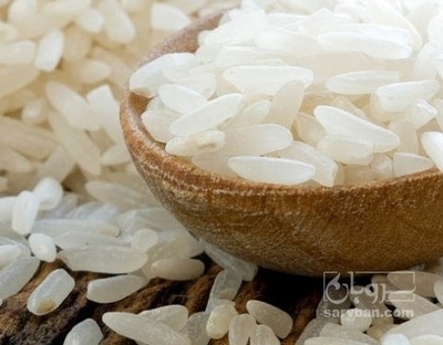 فروش برنج فجر سوزنی