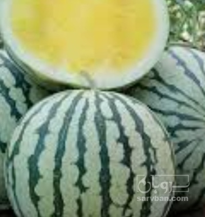 فروش هندوانه آناناسی