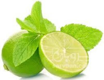 فروش لیمو ترش