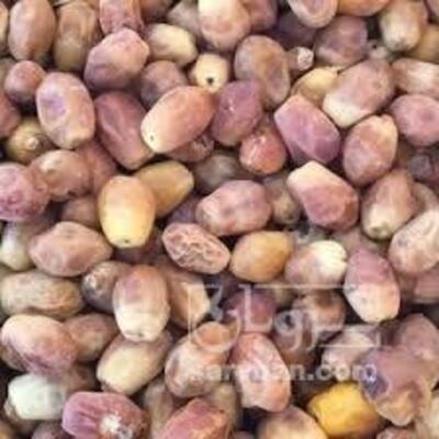 فروش خرماقصب