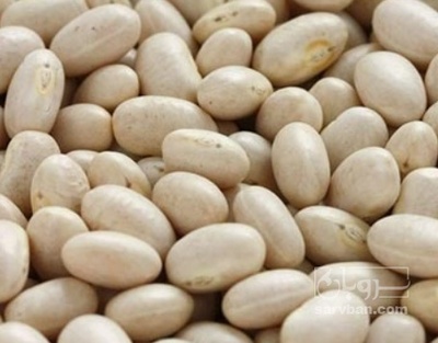 فروش لوبیا سفید