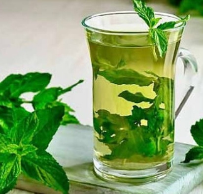 فروش عرق نعناع