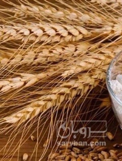 فروش گندم