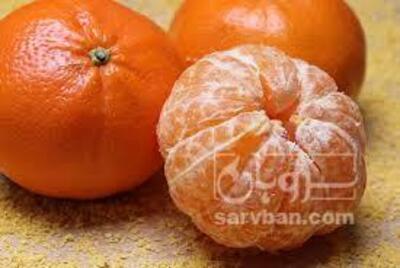 فروش نارنگی