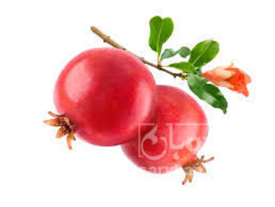 فروش انار