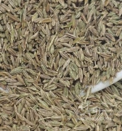 فروش زیره (گیاه‌ دارویی)