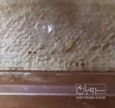 فروش عسل بهاره