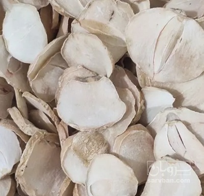 فروش موسیر خشک