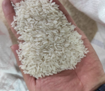فروش برنج پاکستانی