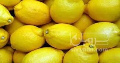 فروش لیمو سنگی