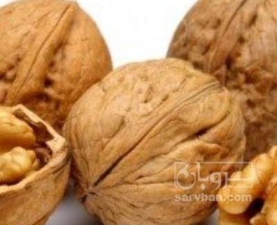 فروش گردو