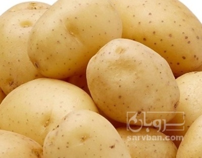 فروش سیب زمینی
