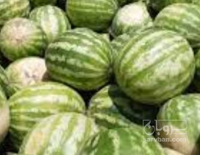 فروش هندوانه