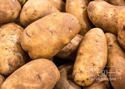 فروش سیب زمینی