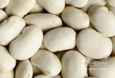فروش لوبیا سفید