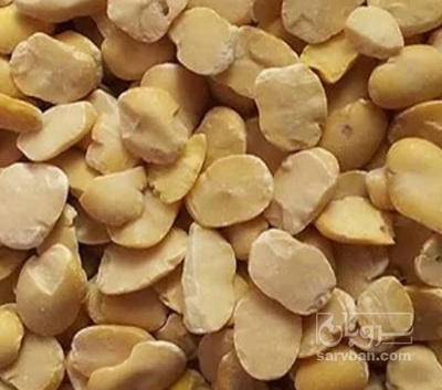 فروش لپه باقلا تازه - باقالی - باقالا