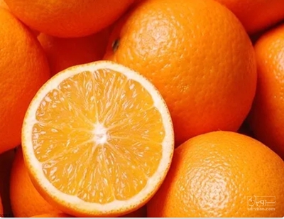 فروش پرتقال واشنگتن