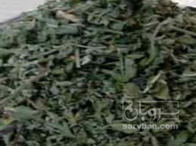 فروش پونه (گیاه‌ دارویی)