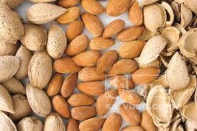 فروش بادام