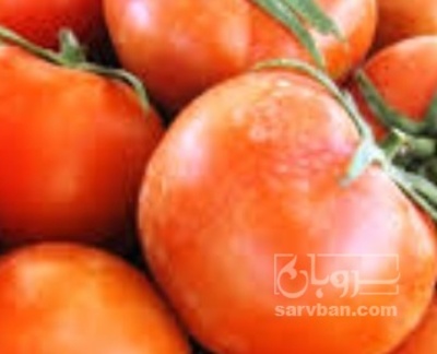 فروش گوجه فرنگی