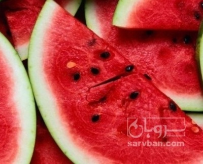 فروش هندوانه بیضی