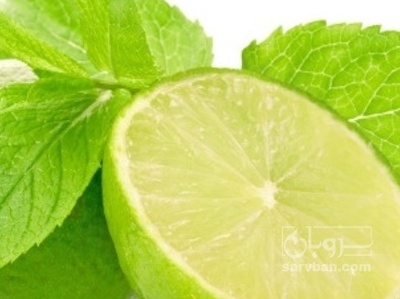 فروش لیمو ترش