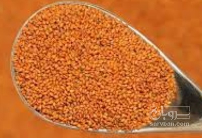 فروش خاکشیر (گیاه‌ دارویی)