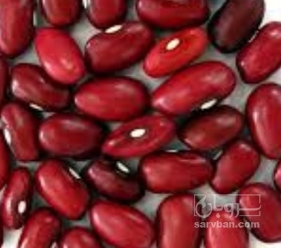 فروش لوبیا قرمز
