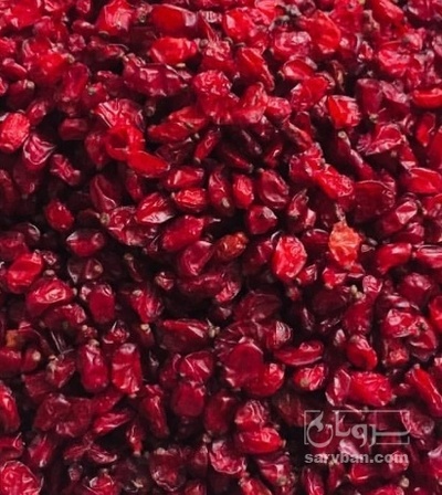 فروش زرشک اناری