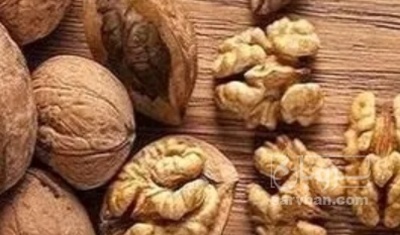 فروش گردو