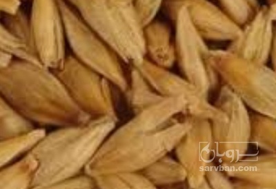 فروش جو