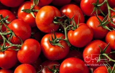 فروش گوجه فرنگی تخم مرغی هیرو