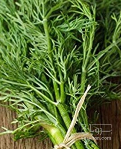 فروش شوید تازه