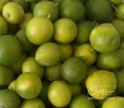 فروش لیمو ترش