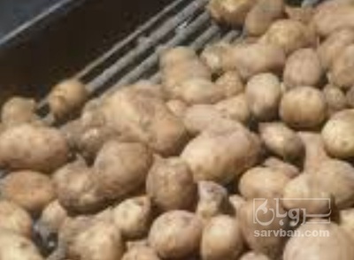 فروش سیب زمینی جلی