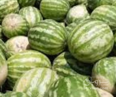 فروش هندوانه گرد